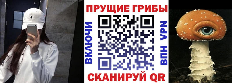omg tor  Задонск  Псилоцибиновые грибы мицелий  магазин   